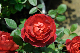 image0378