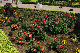 image0383