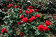image0392