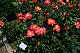 image0394