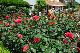 image0395
