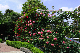 image0397