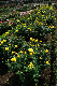 image0398