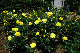 image0399