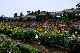 image0400
