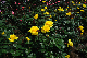 image0401