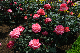 image0402