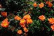 image0404