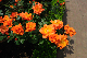image0405
