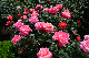 image0408