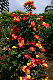 image0409