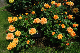 image0411