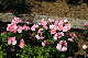 image0413