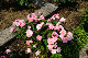 image0414