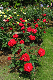 image0415