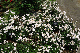 image0416