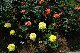 image0417
