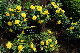 image0421