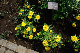 image0422