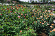 image0423