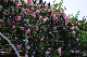 image0424