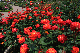 image0425
