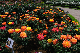 image0429