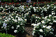 image0430