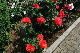 image0431