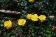 image0432