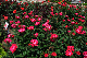 image0434