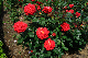 image0437