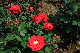 image0438