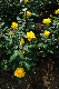image0439