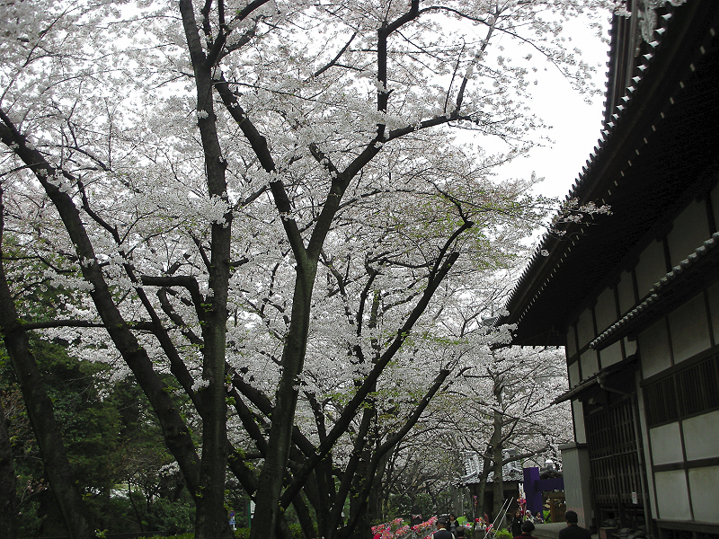 image0017